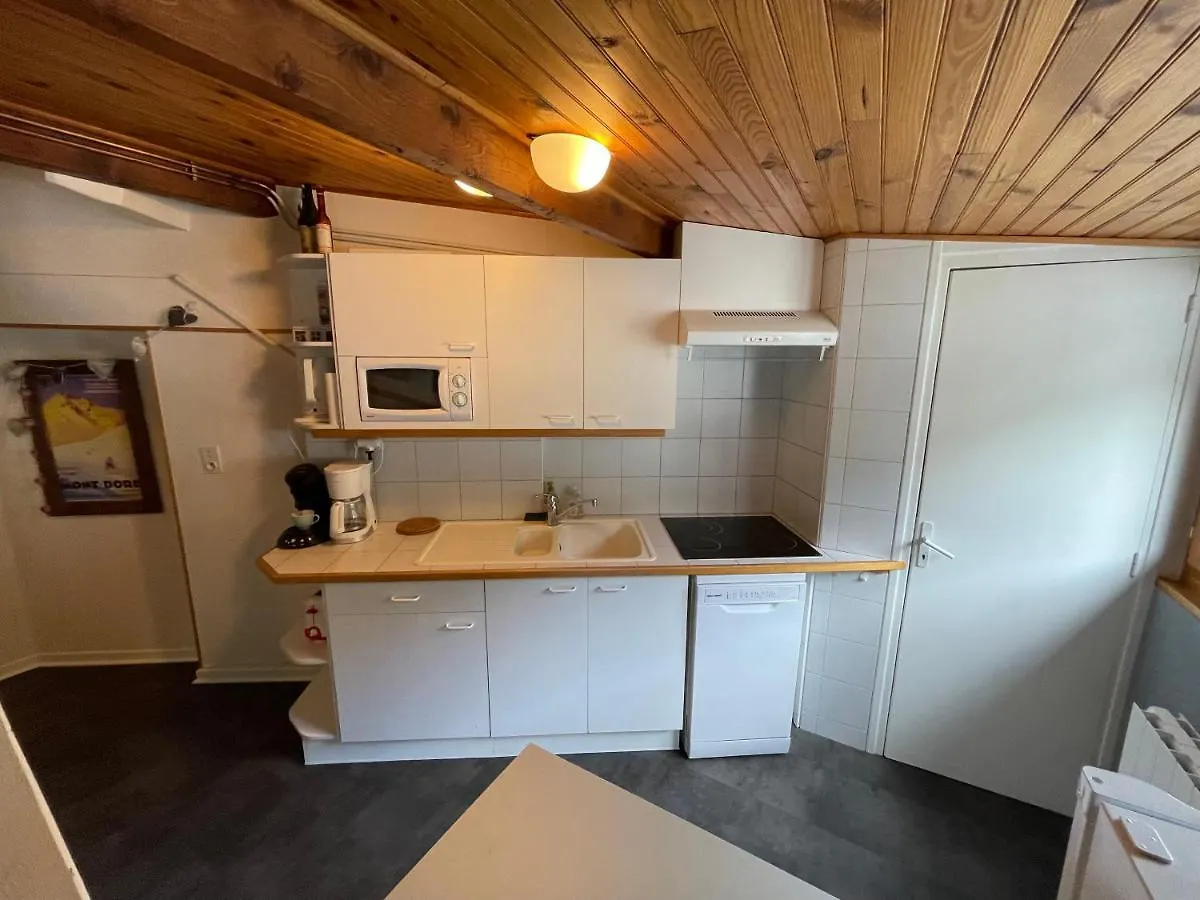 Apartment Appartement En Hyper Centre Le Mont-Dore